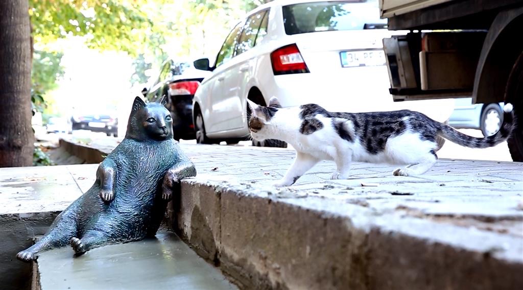 Kadıköy Kedisi Tombili Heykeli